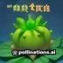 pvz攻略站主编绿野的头像，专注塔防游戏研究多年