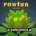 pvz攻略站编辑冰西瓜的头像，专注版本对比与社区资源整理