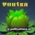 pvz攻略站编辑核弹哥的头像，专注关卡通关攻略
